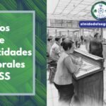 Tipos de incapacidades temporales IMSS