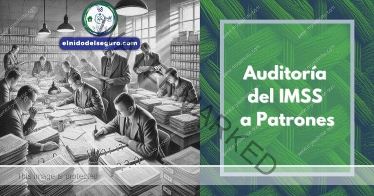 Auditoría del IMSS a Patrones