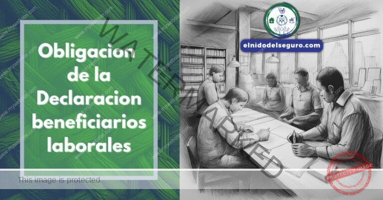 Obligacion de la Declaracion beneficiarios laborales