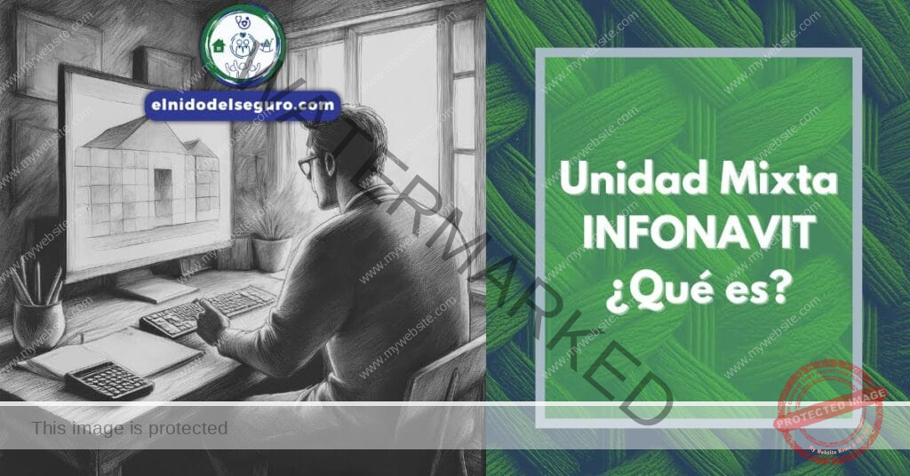 Unidad-Mixta-INFONAVIT