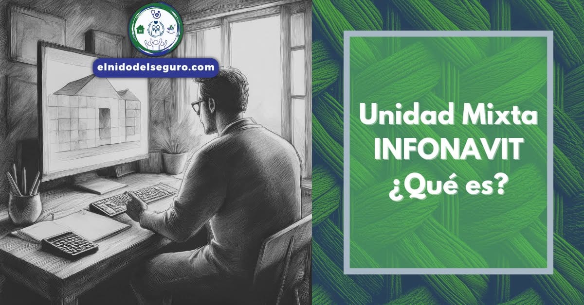 Unidad-Mixta-INFONAVIT