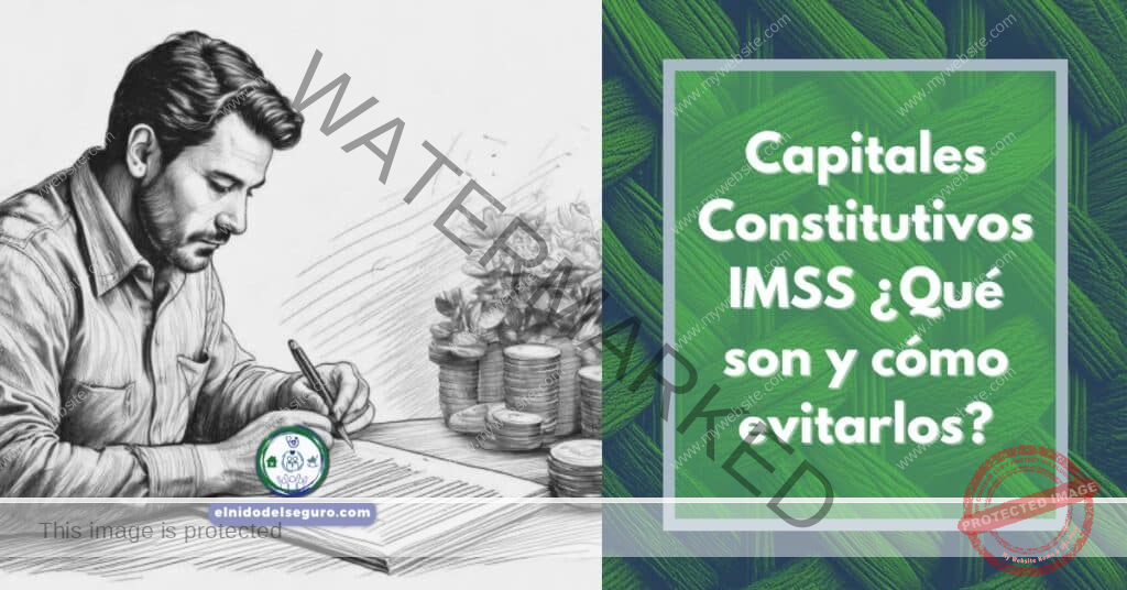 Capitales Constitutivos IMSS ¿Qué son y cómo evitarlos?