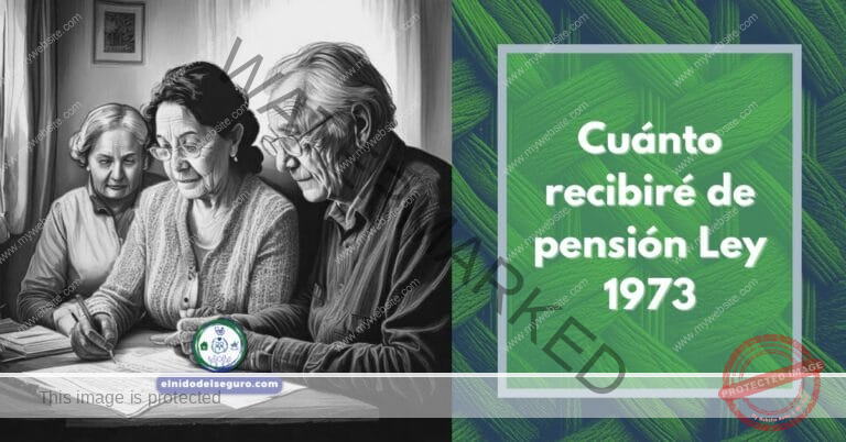 Cuánto recibiré de pensión Ley 1973