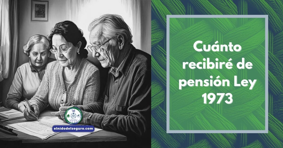 Cuánto recibiré de pensión Ley 1973