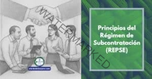 Principios del Régimen de Subcontratación