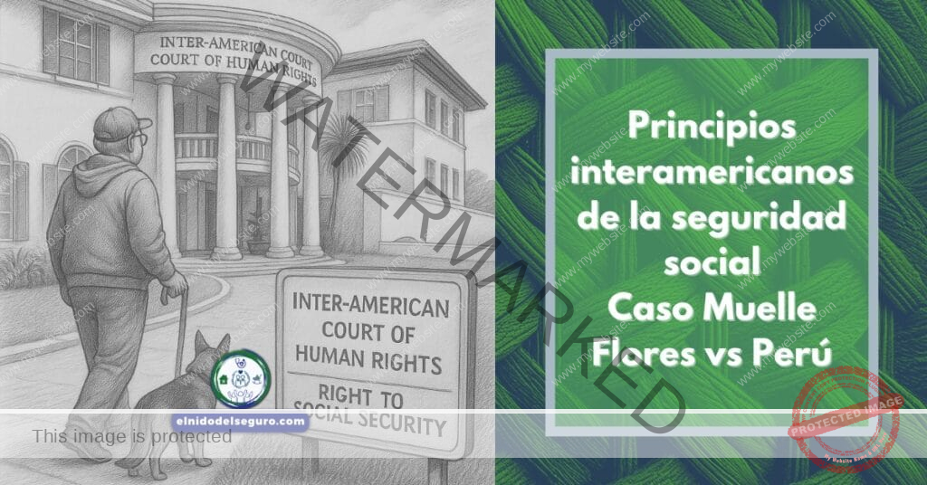 Principios interamericanos de la seguridad social