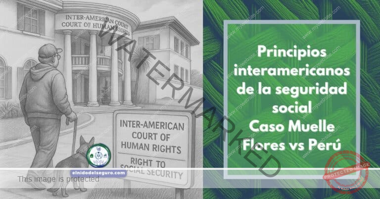 Principios interamericanos de la seguridad social