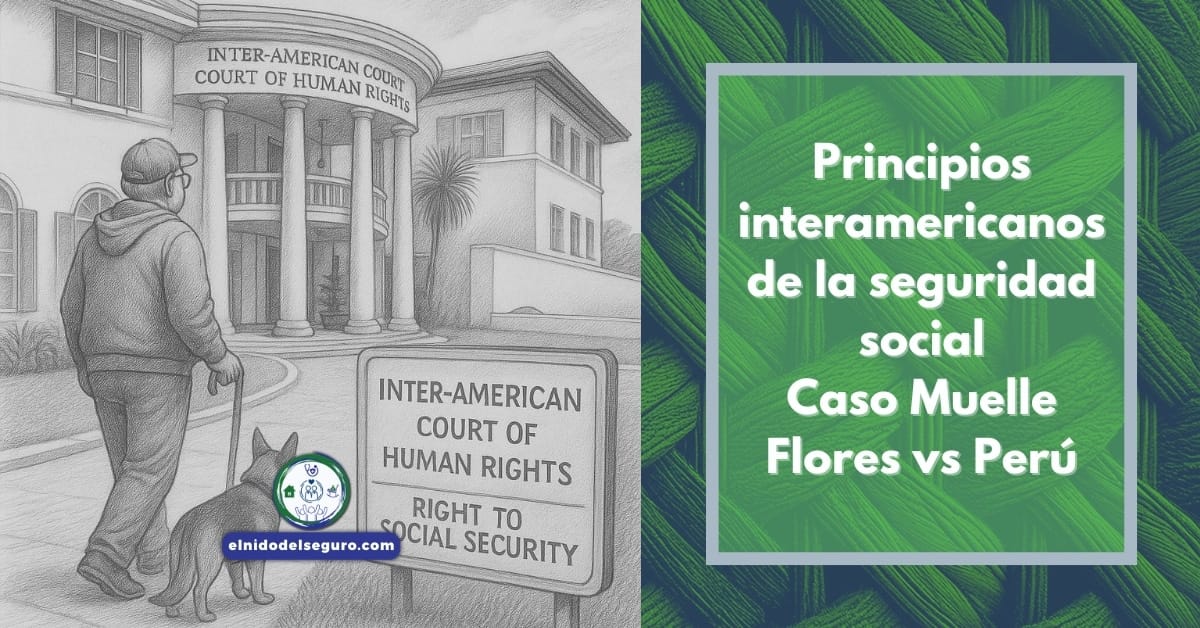 Principios interamericanos de la seguridad social